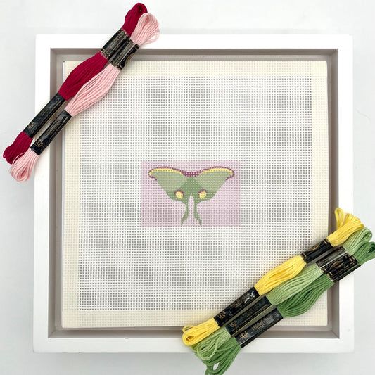 Luna Moth Pink Background 3x2 Needlepoint Design Needlepoint Kit Blue Poppy Designs