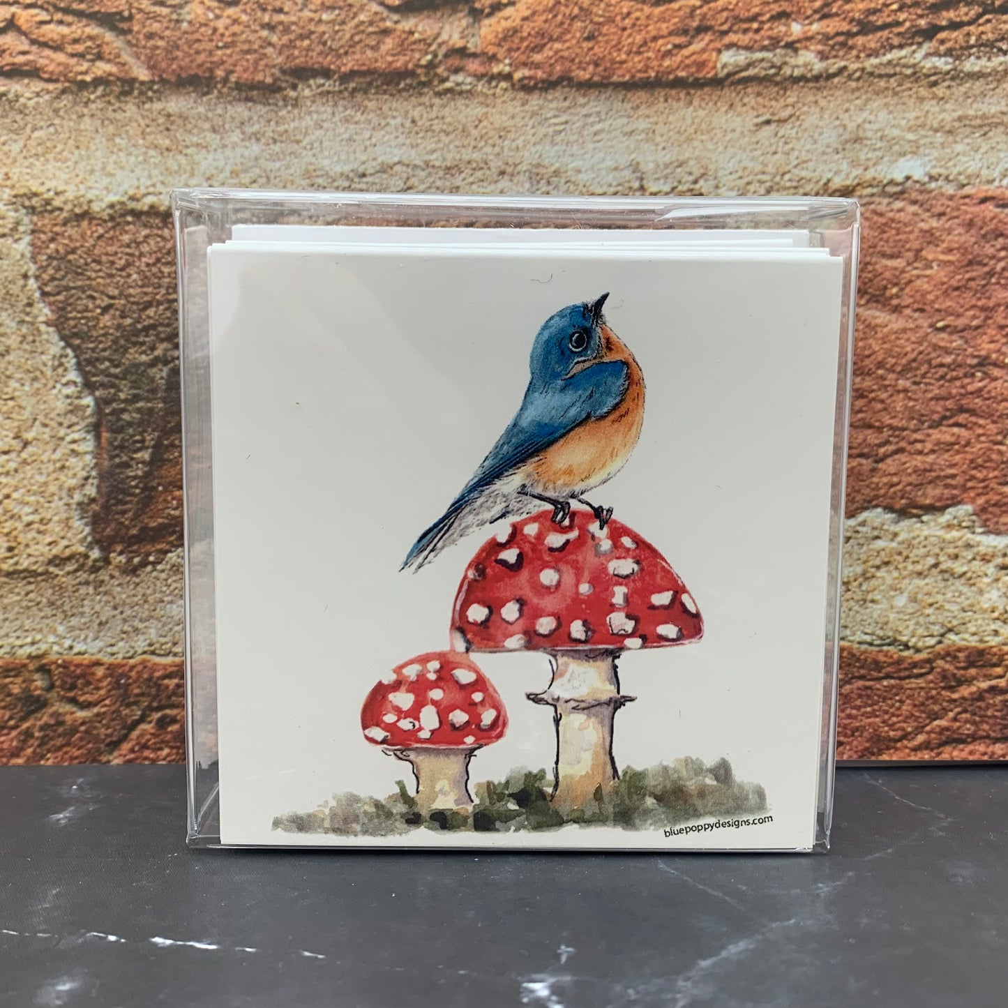 Bird and Mushroom Enclosure Cards - Set of 10 cards Blue Poppy Designs