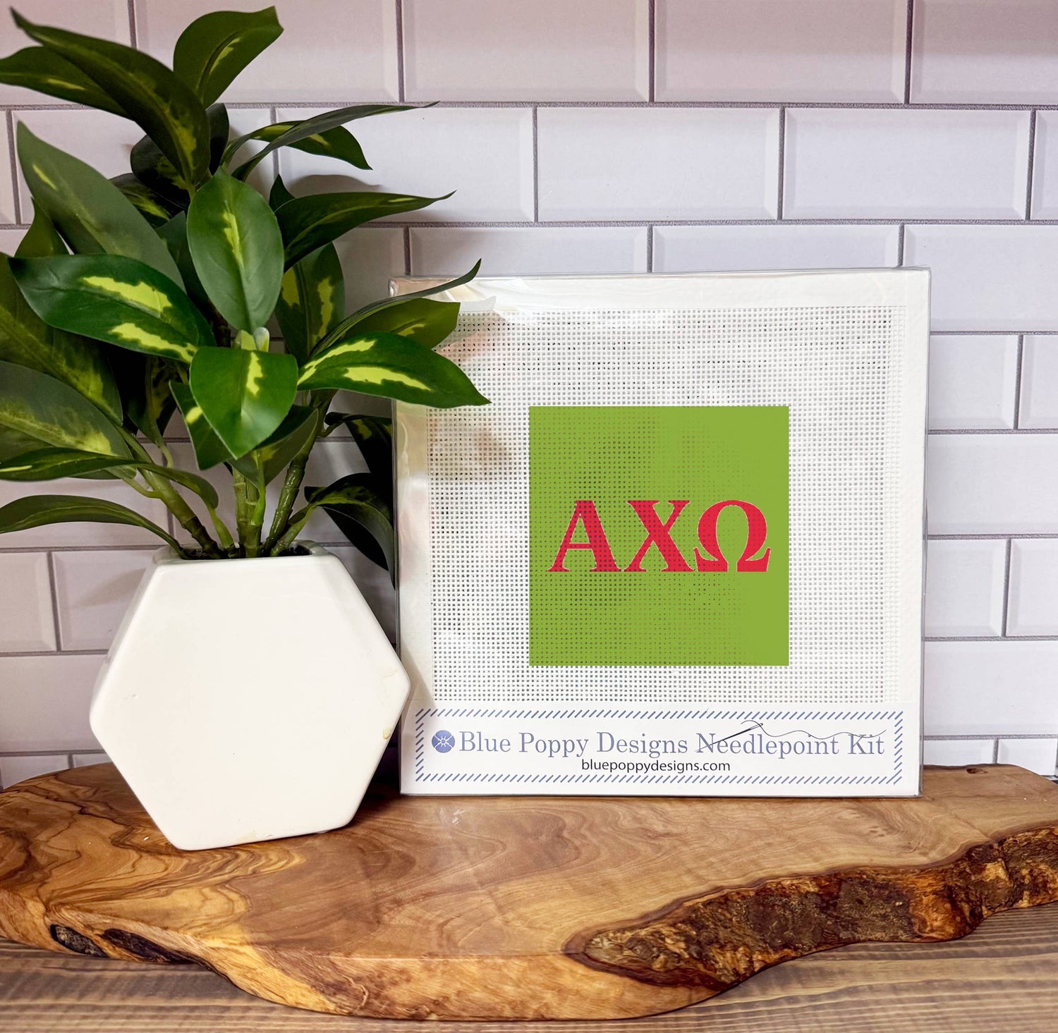 Alpha Chi Omega
