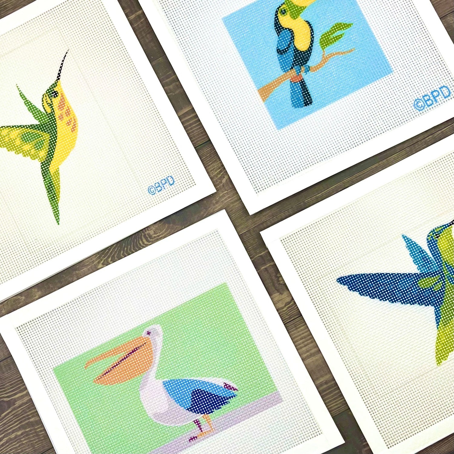Birds