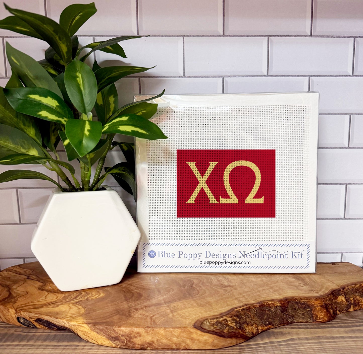 Chi Omega 6x4 Needlepoint Kit