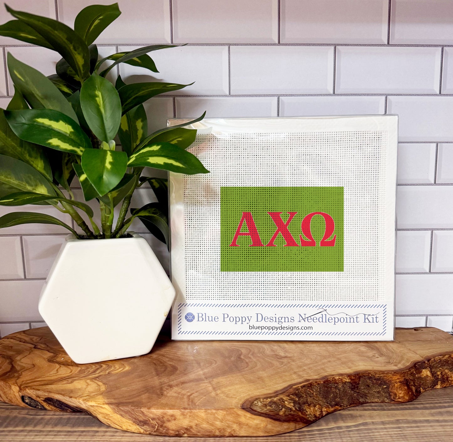 Alpha Chi Omega 6x4 Needlepoint Kit