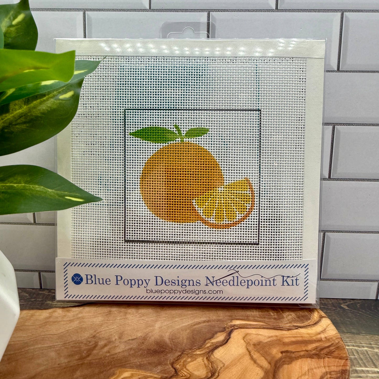 Oranges Needlepoint Kit Embroidery/Cross Stitch Supplies Blue Poppy Designs