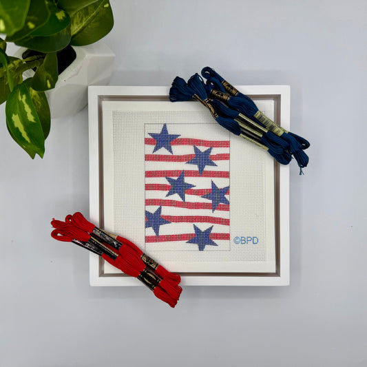 Blue Stars on Red Stripes Needlepoint Kit