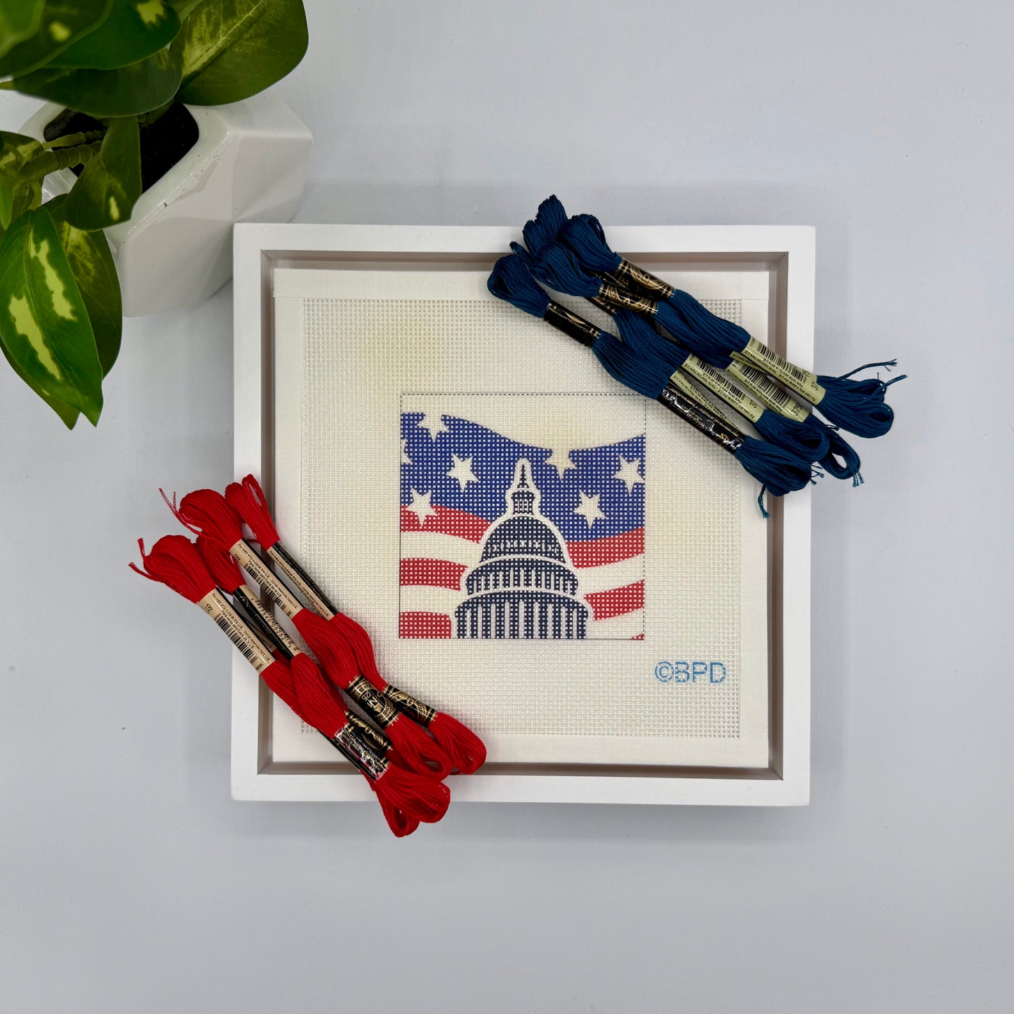 Capitol Dome 4x4 Needlepoint Kit