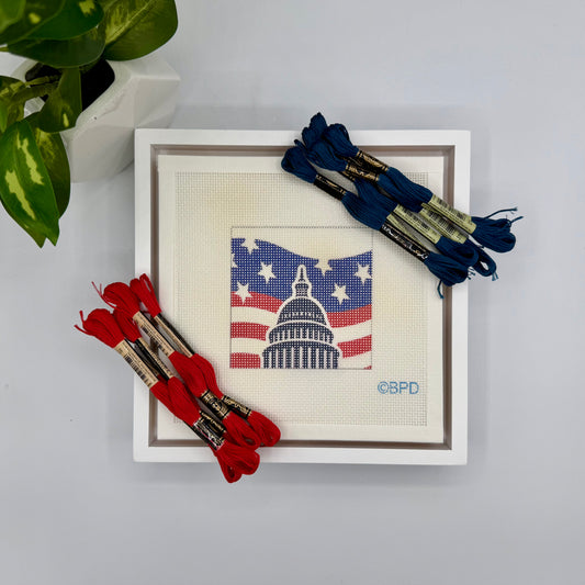 Capitol Dome 4x4 Needlepoint Kit