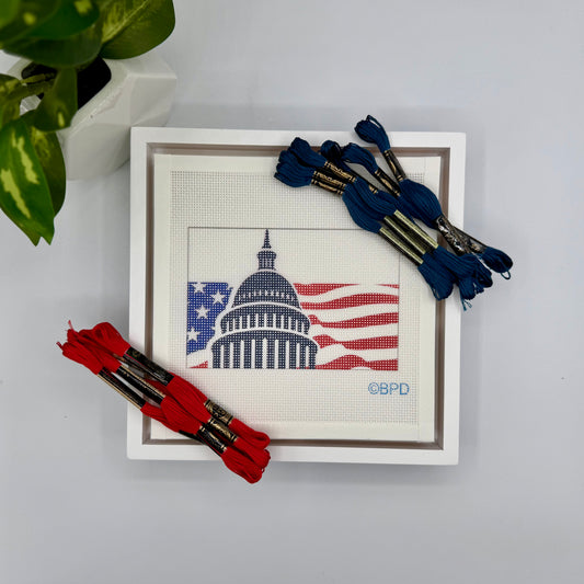 Capitol Dome 4x6 Needlepoint Kit