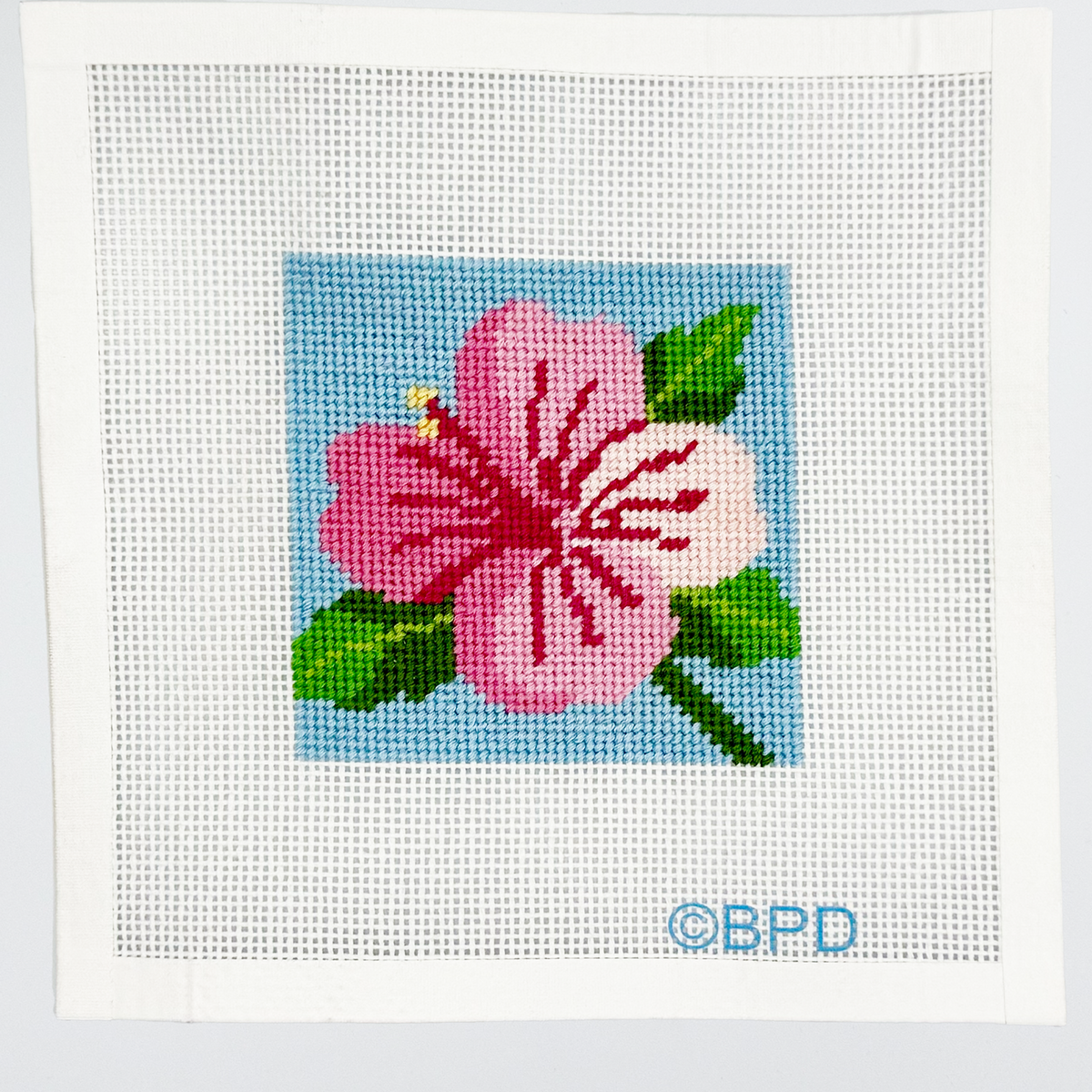Hibiscus