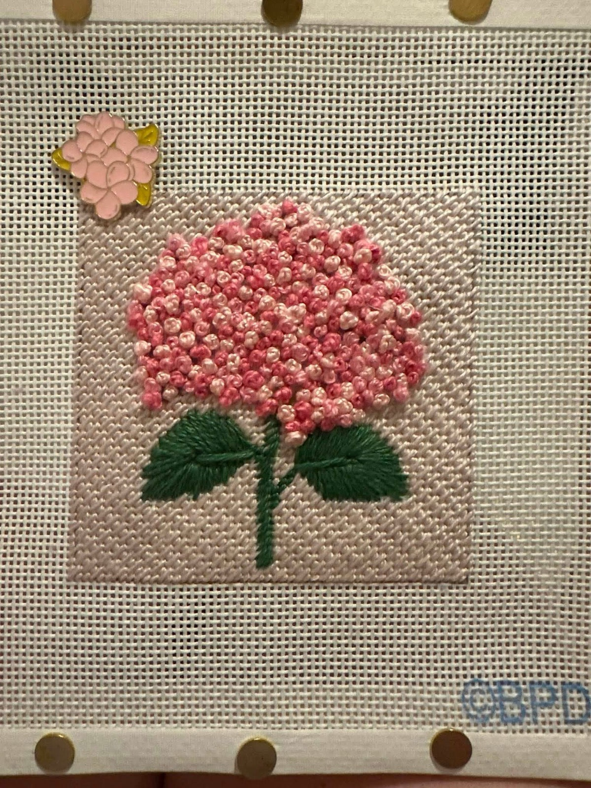 Pink Hydrangea