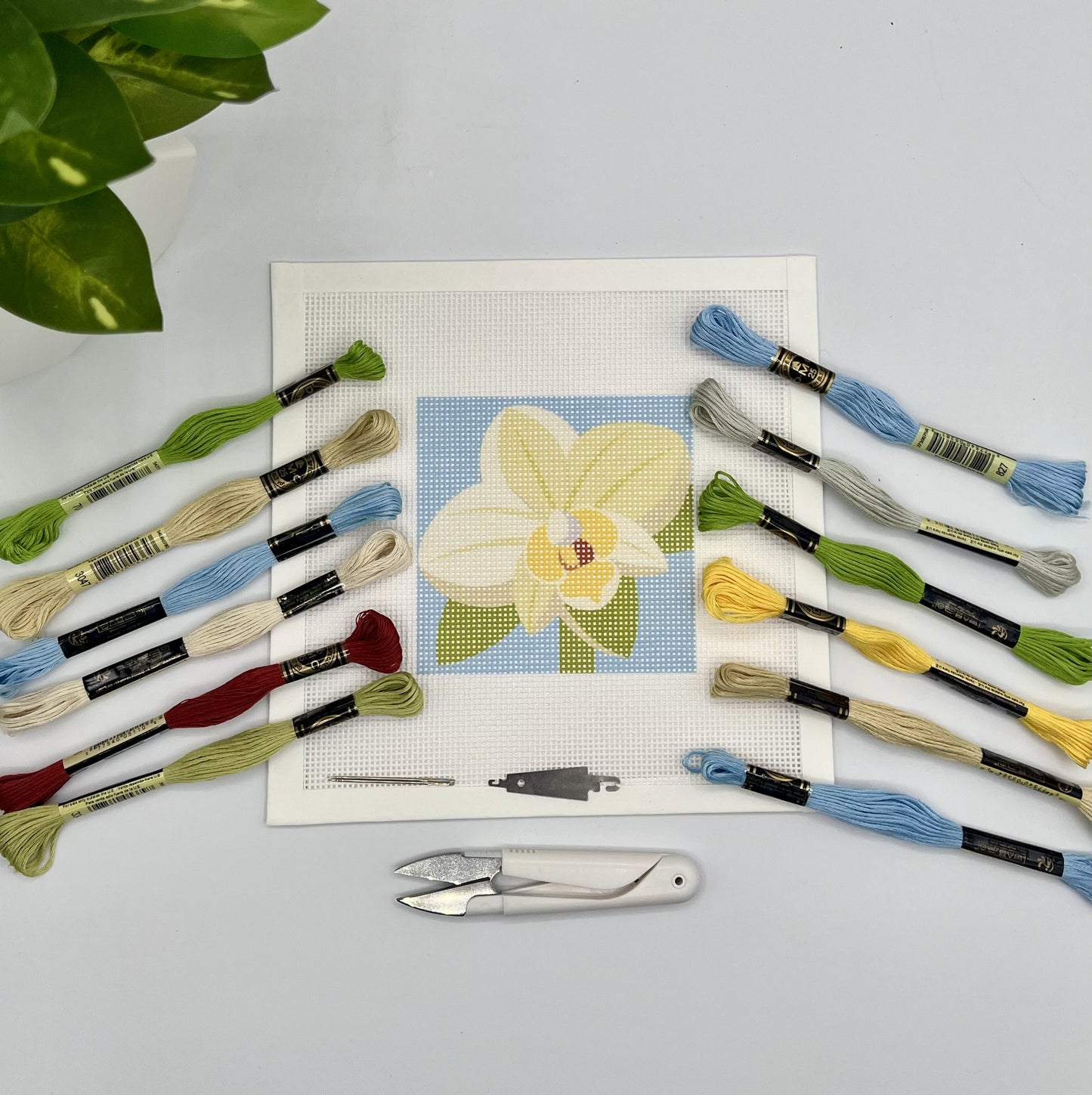 Orchid Needlepoint Kit needlepoint Blue Poppy Designs
