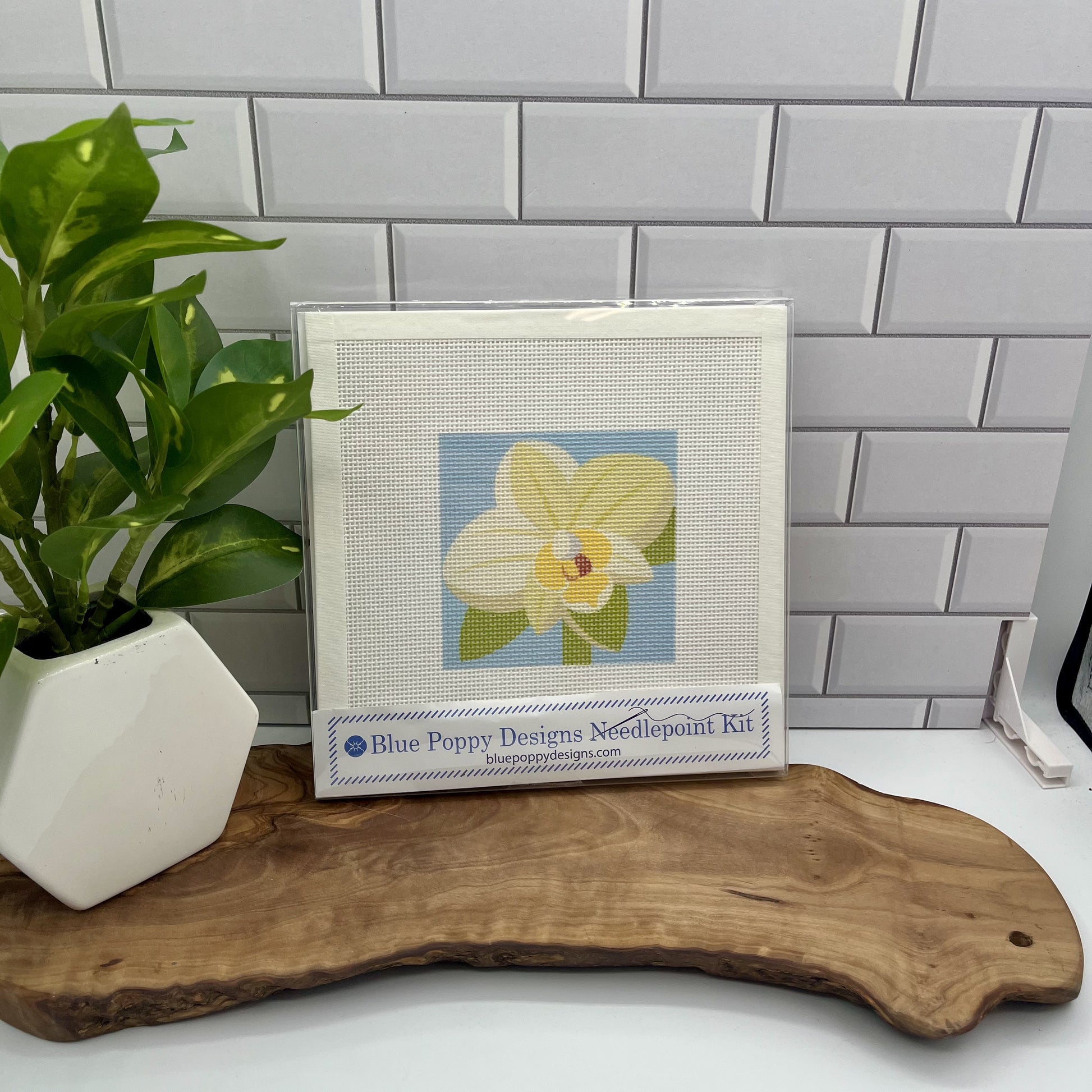 Orchid Needlepoint Kit needlepoint Blue Poppy Designs