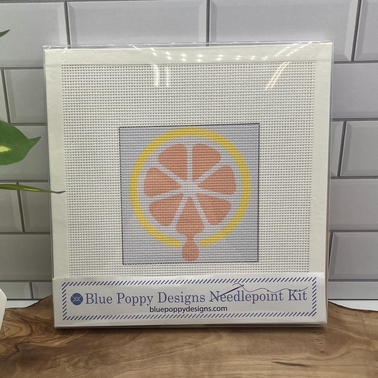 Citrus Grapefruit Needlepoint Kit needlepoint Blue Poppy Designs