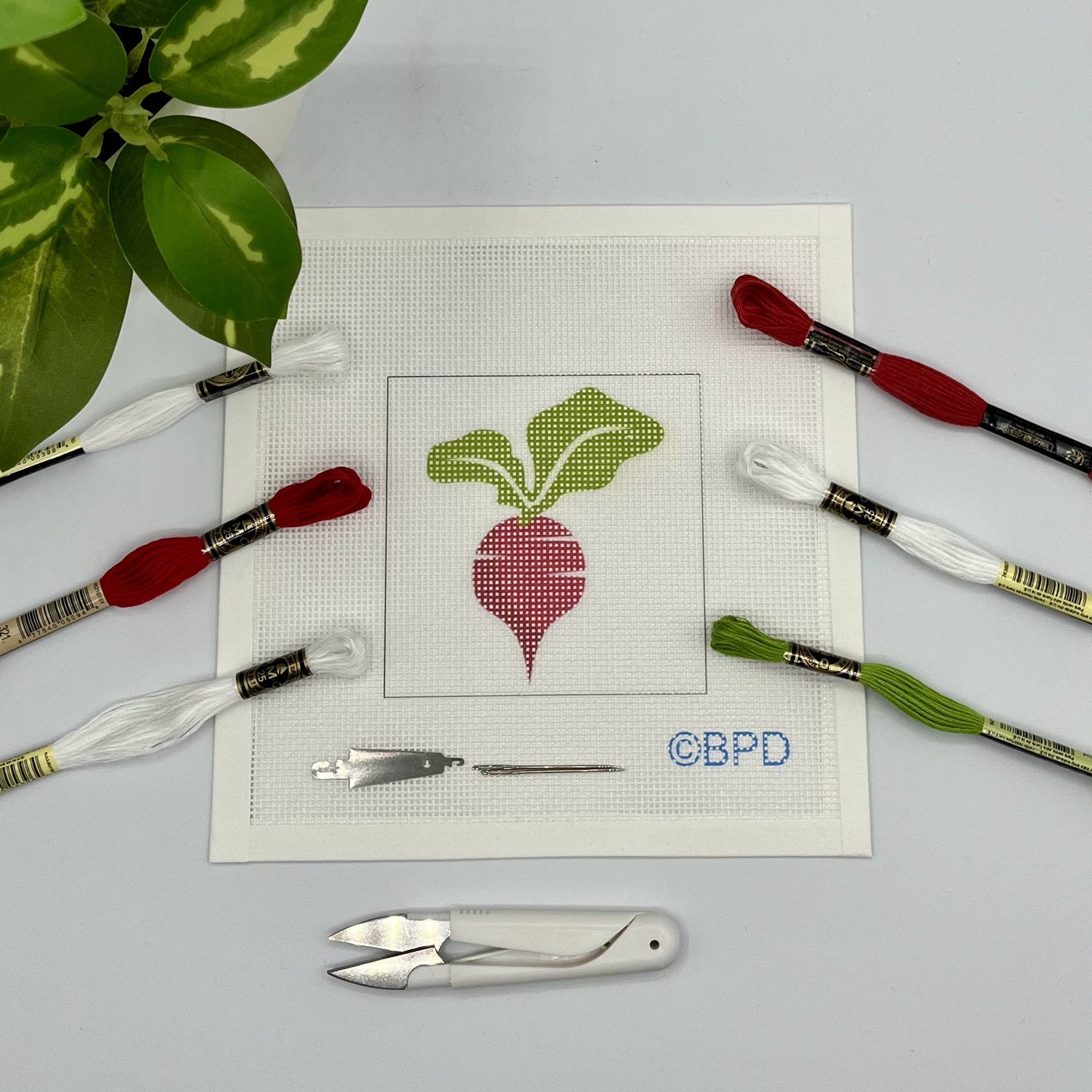 Sugar Beet Needlepoint Kit