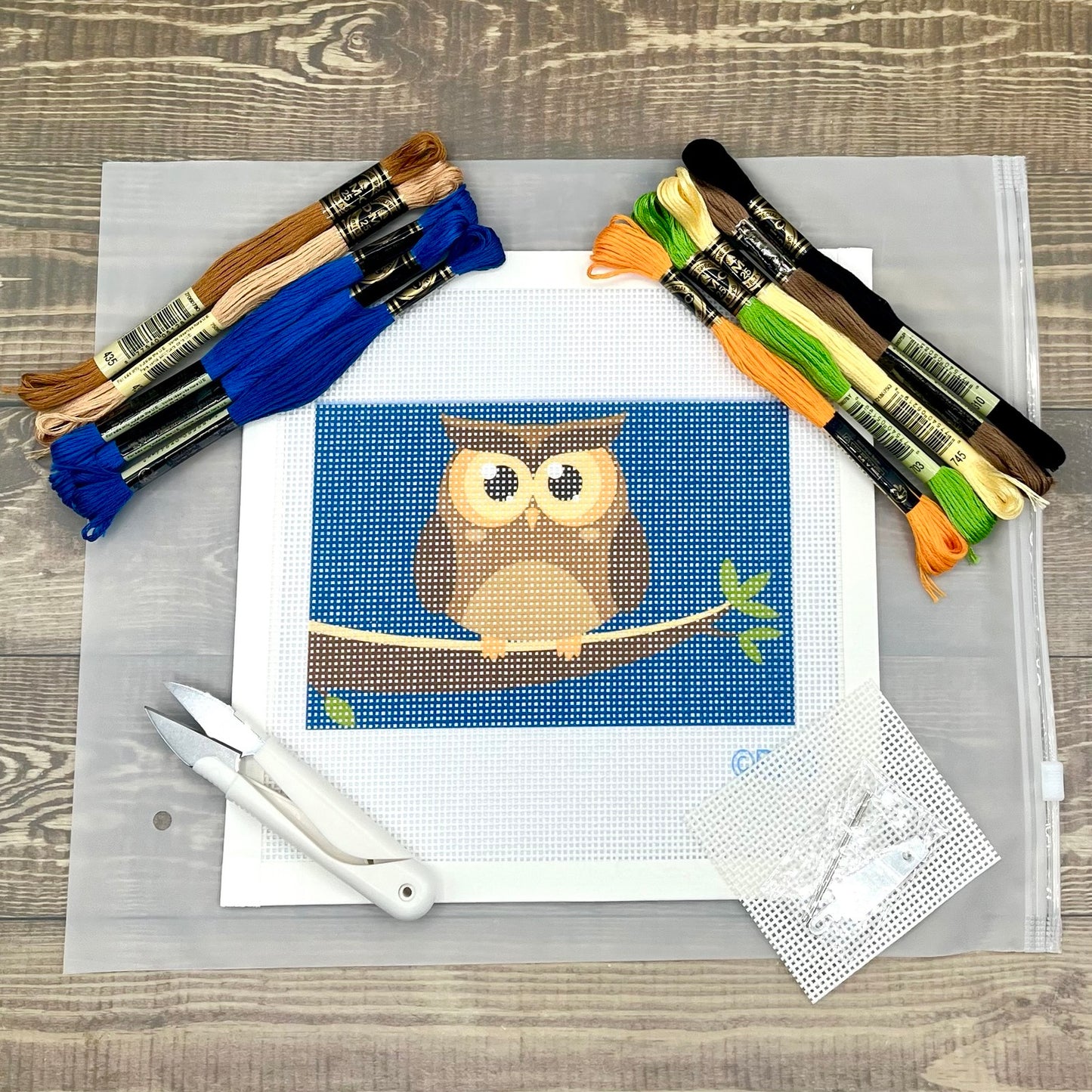 Owl at Night Needlepoint Kit