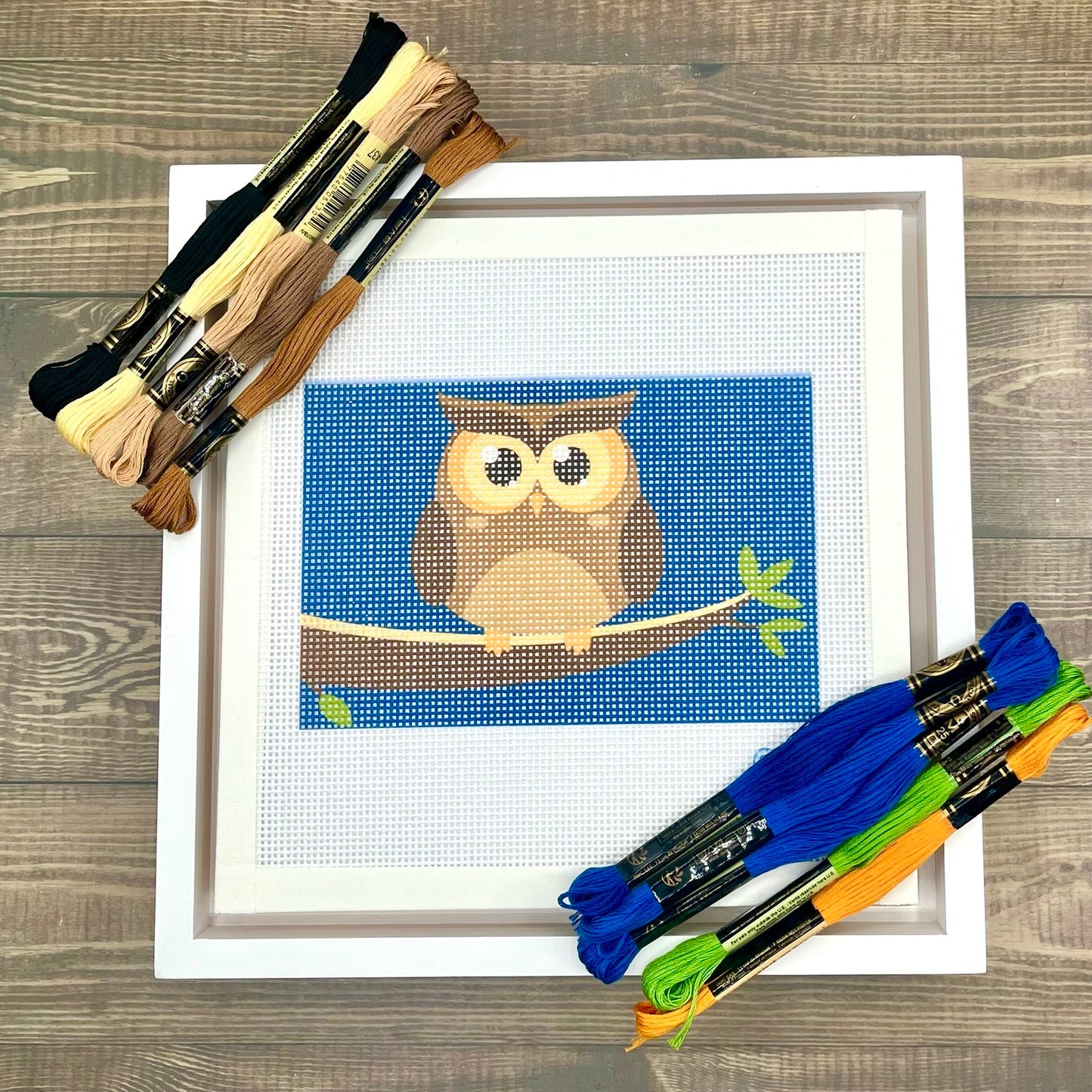 Owl at Night Needlepoint Kit