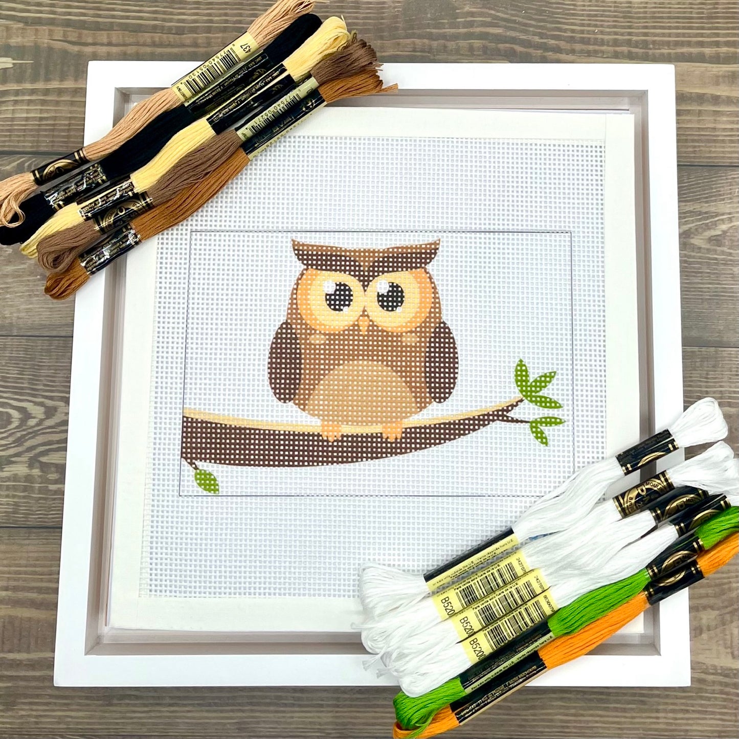 Owl on White Needlepoint Kit