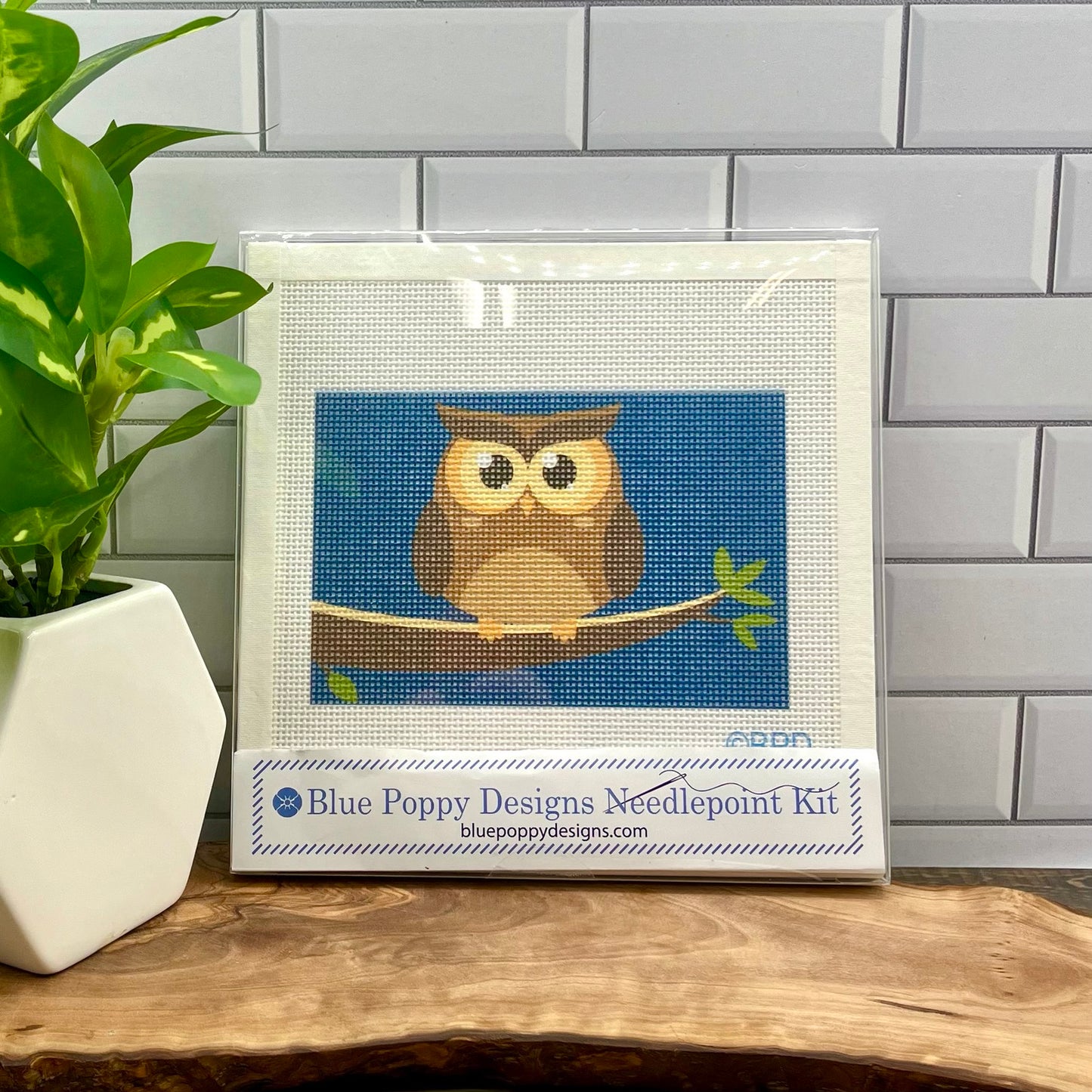 Owl at Night Needlepoint Kit