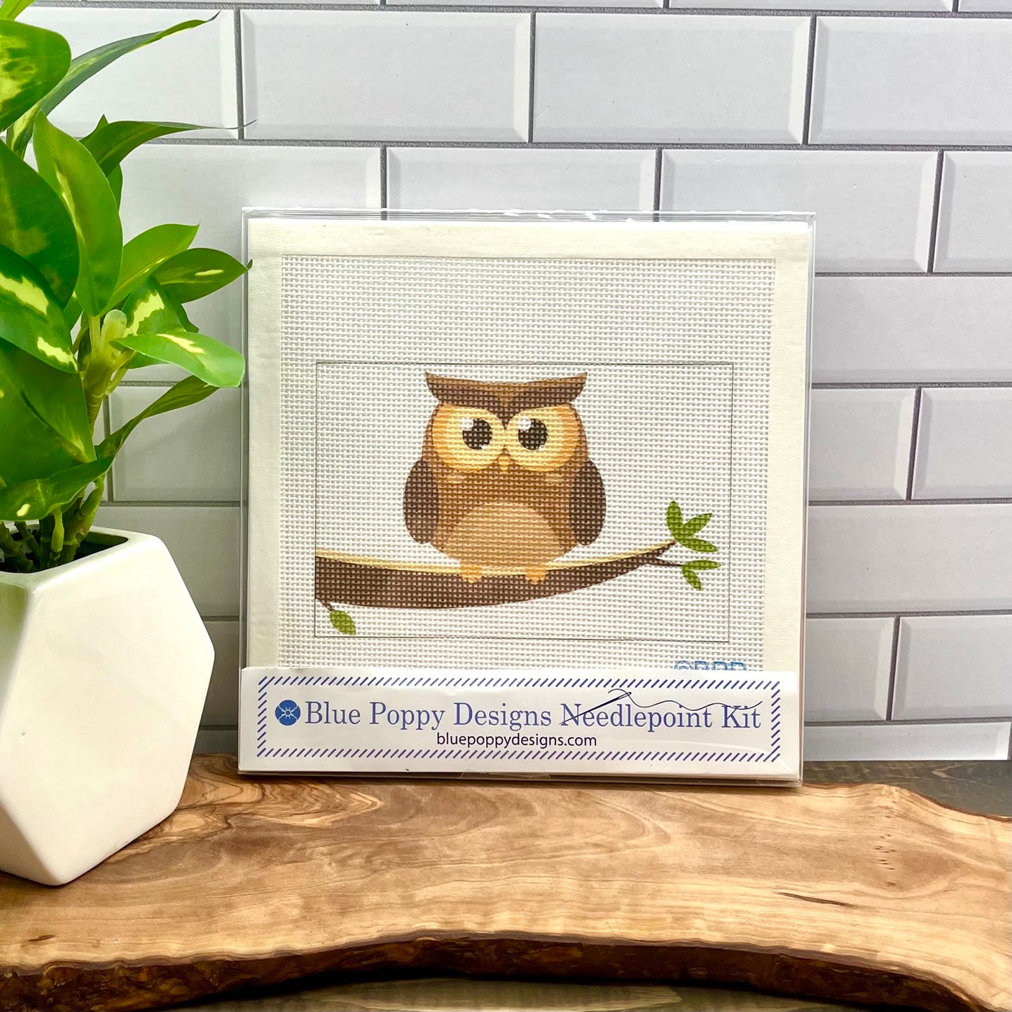 Owl on White Needlepoint Kit