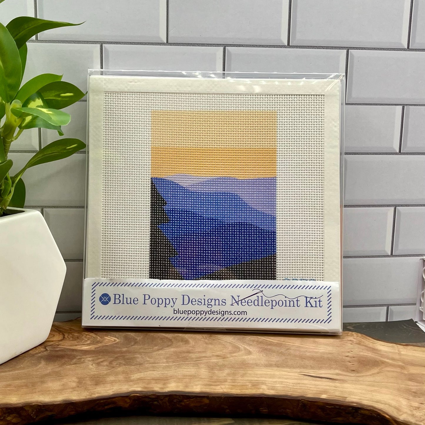 Great Smokey Mountains National Park Needlepoint Kit