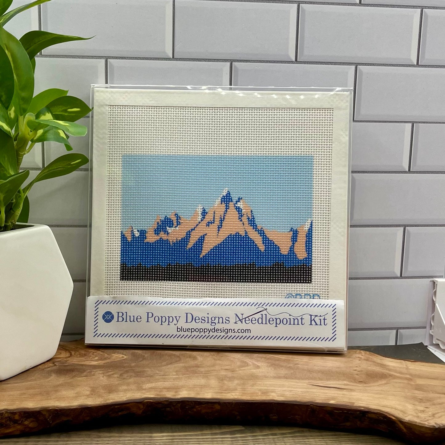 Grand Tetons National Park Needlepoint Kit