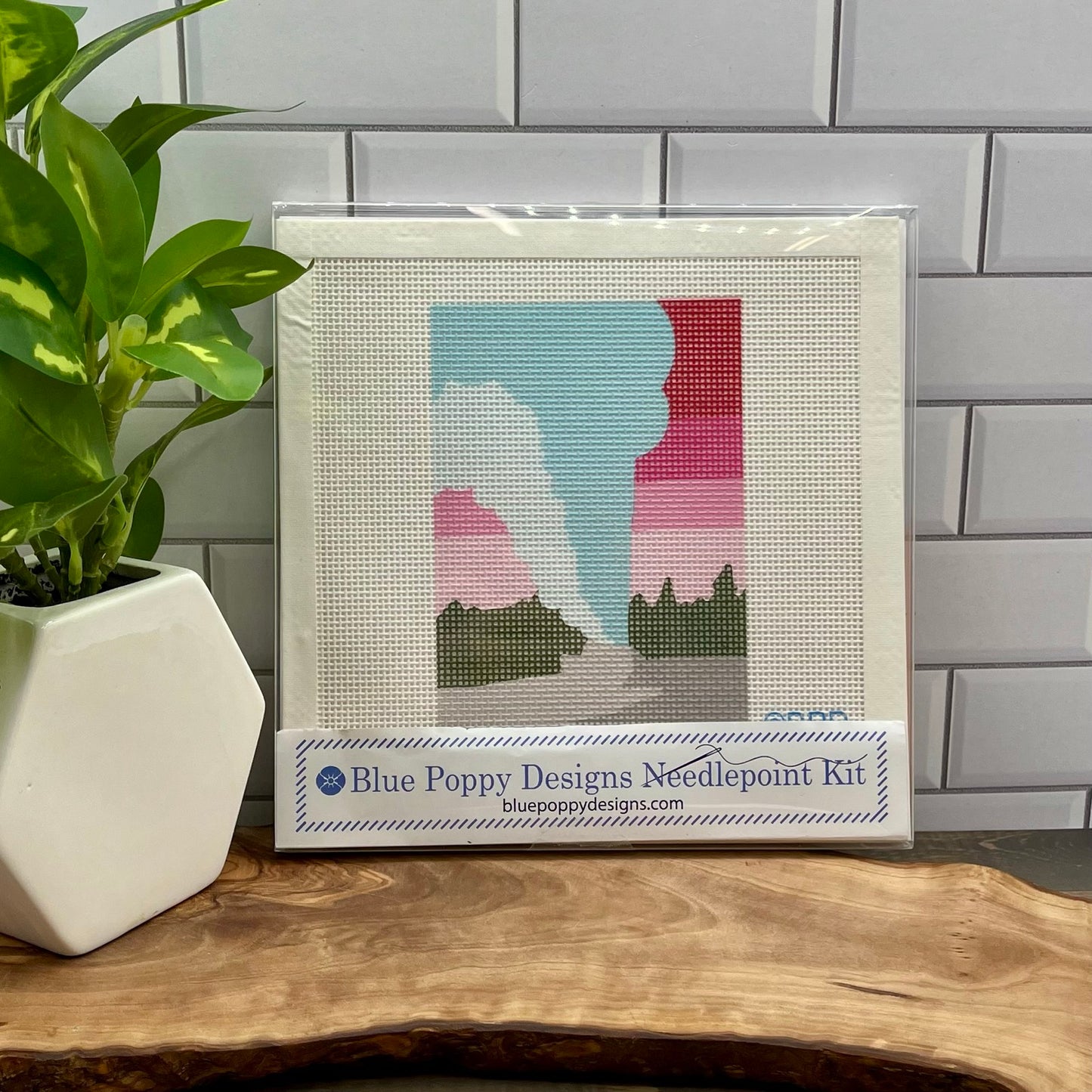 'Ol Faithful Yellowstone National Park Needlepoint Kit