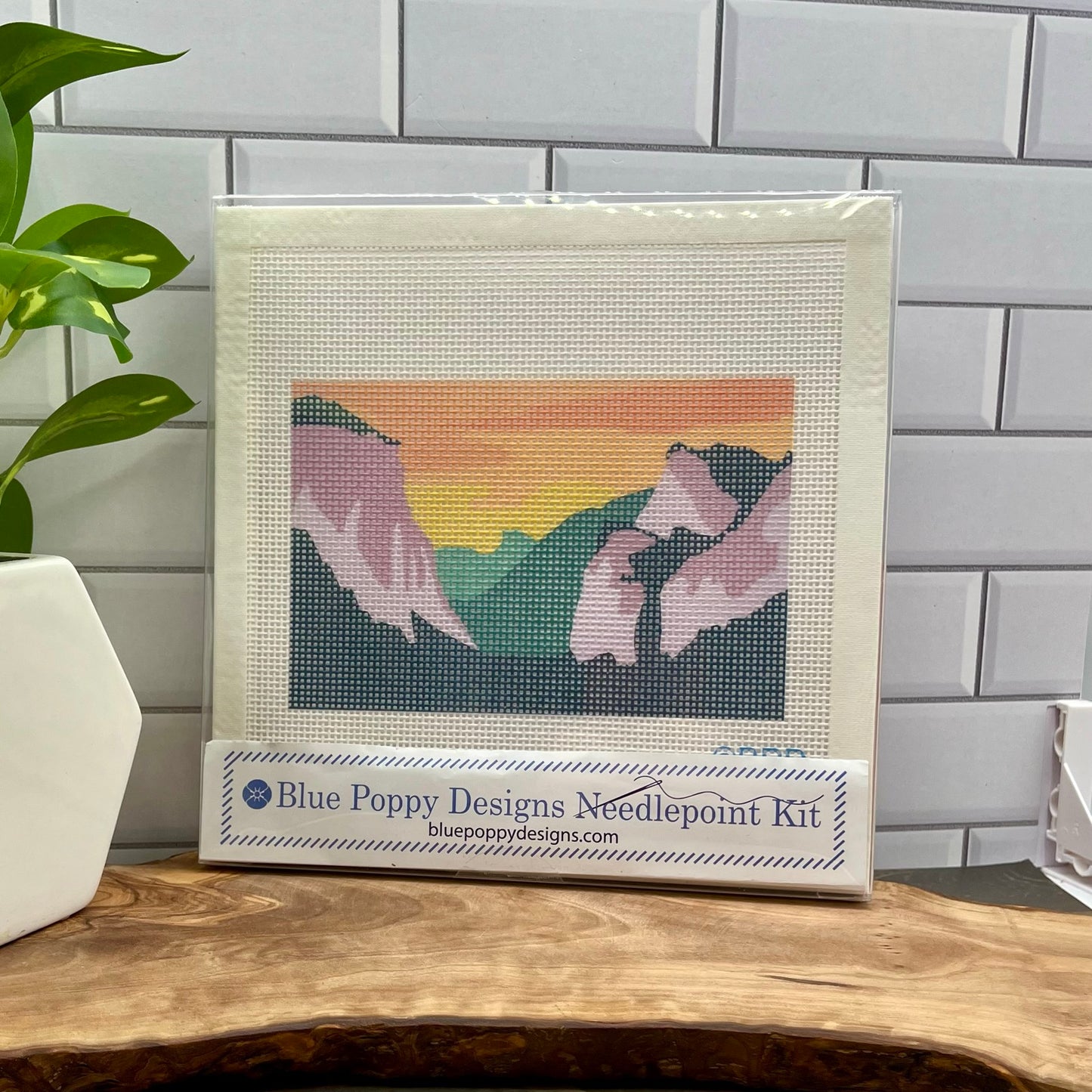 Yosemite National Park Needlepoint Kit