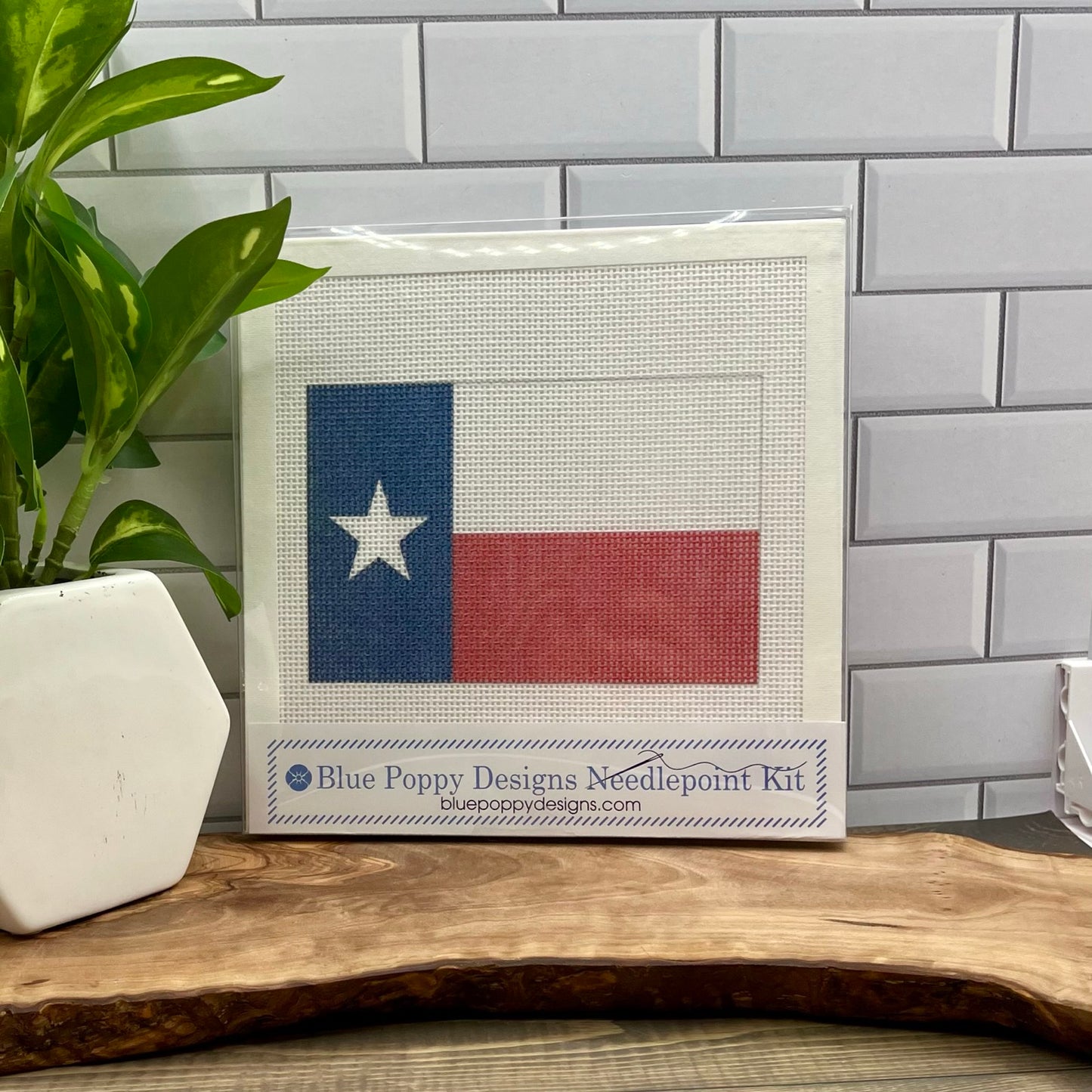 Texas State Flag Needlepoint Kit