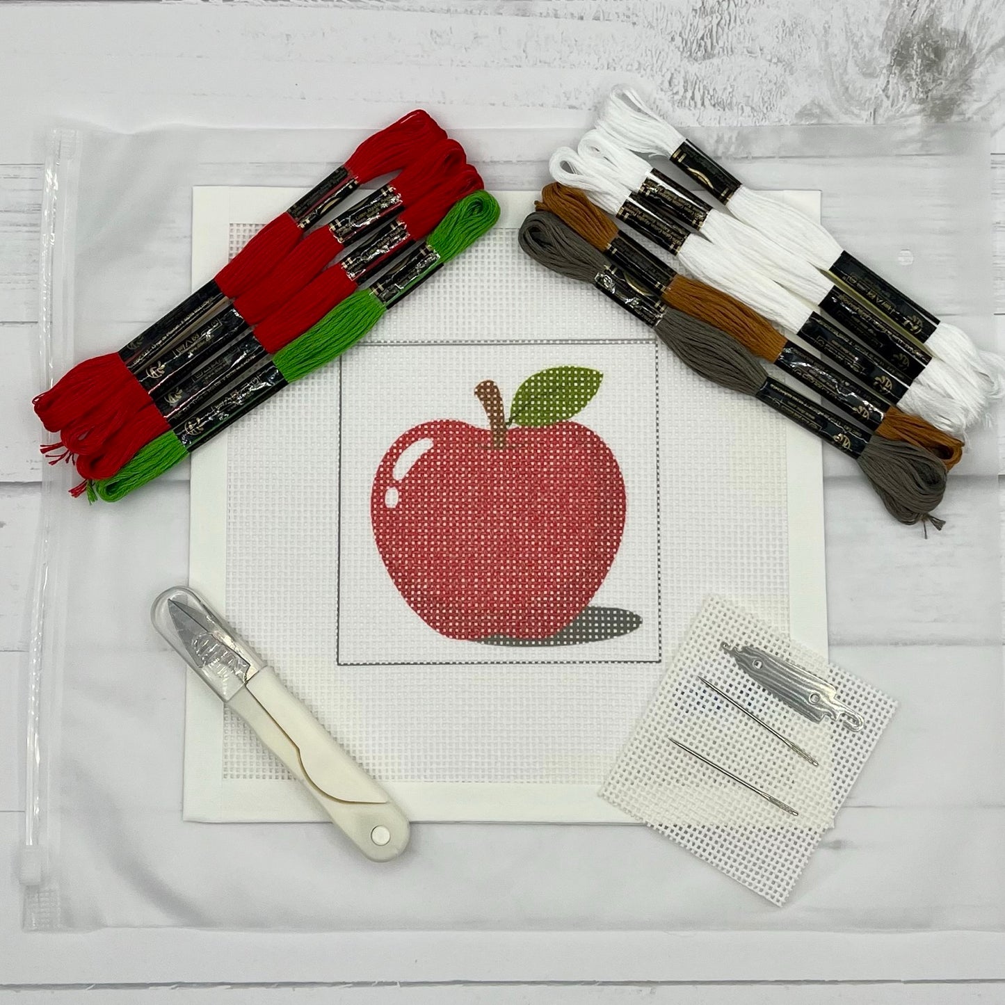 Red Apple Needlepoint Design