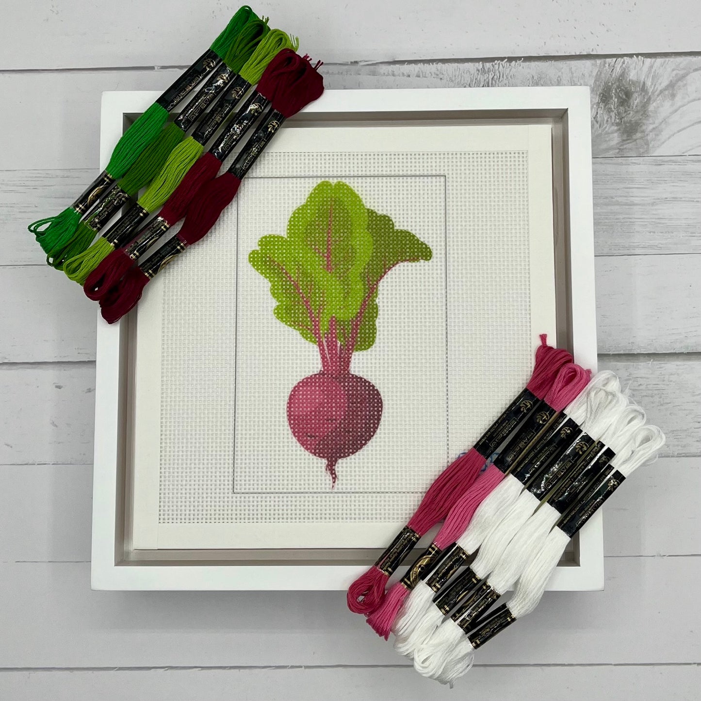 Beet 6x4 Needlepoint Design