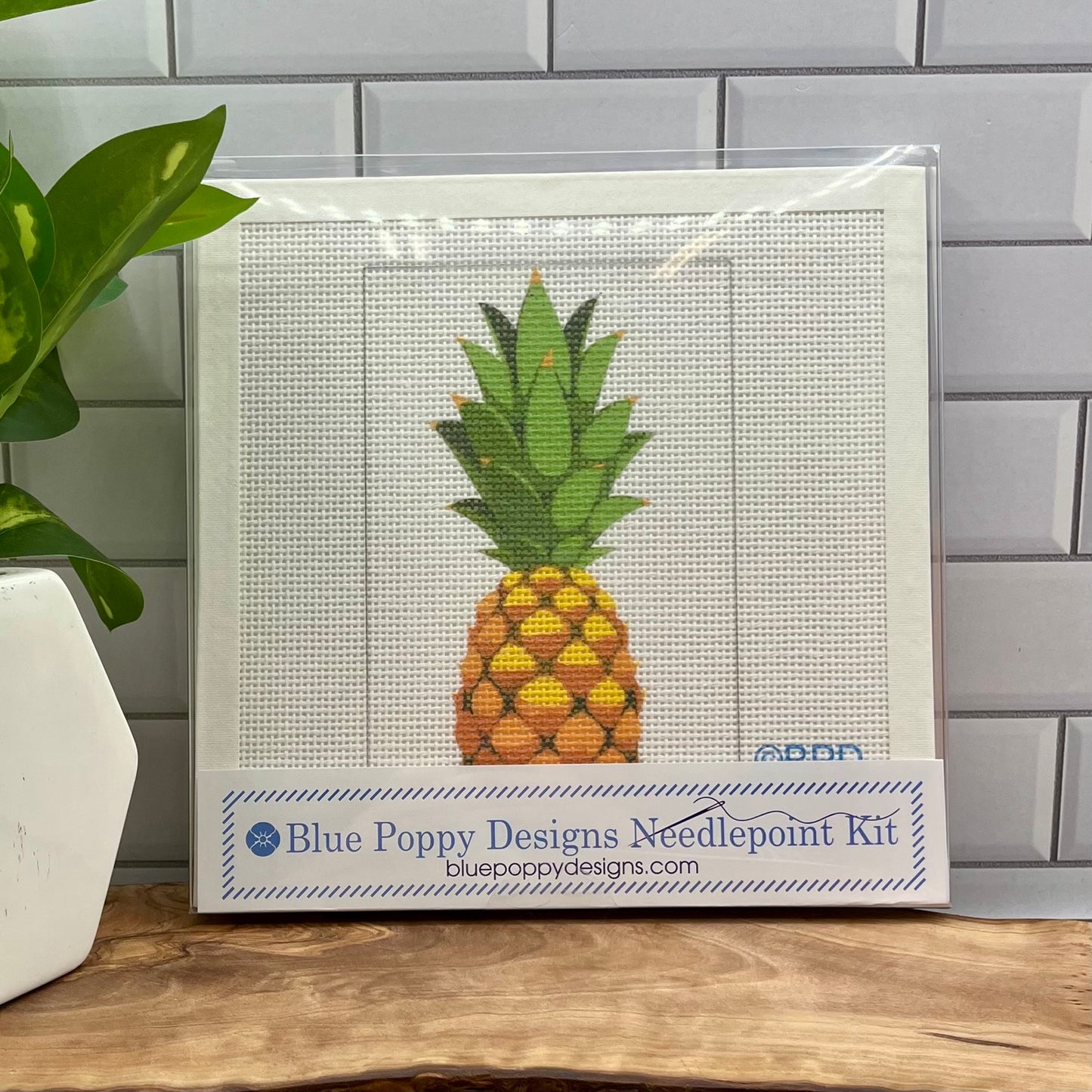 Pineapple 6x4 Needlepoint Design