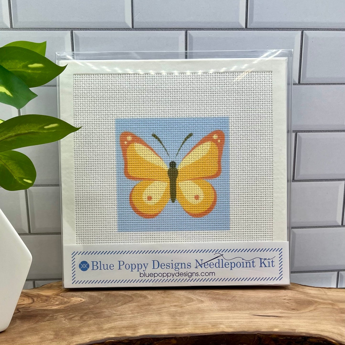 Orange Butterfly Needlepoint Design