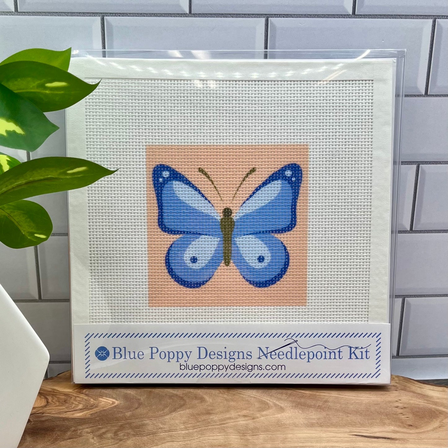 Blue Butterfly Needlepoint Design