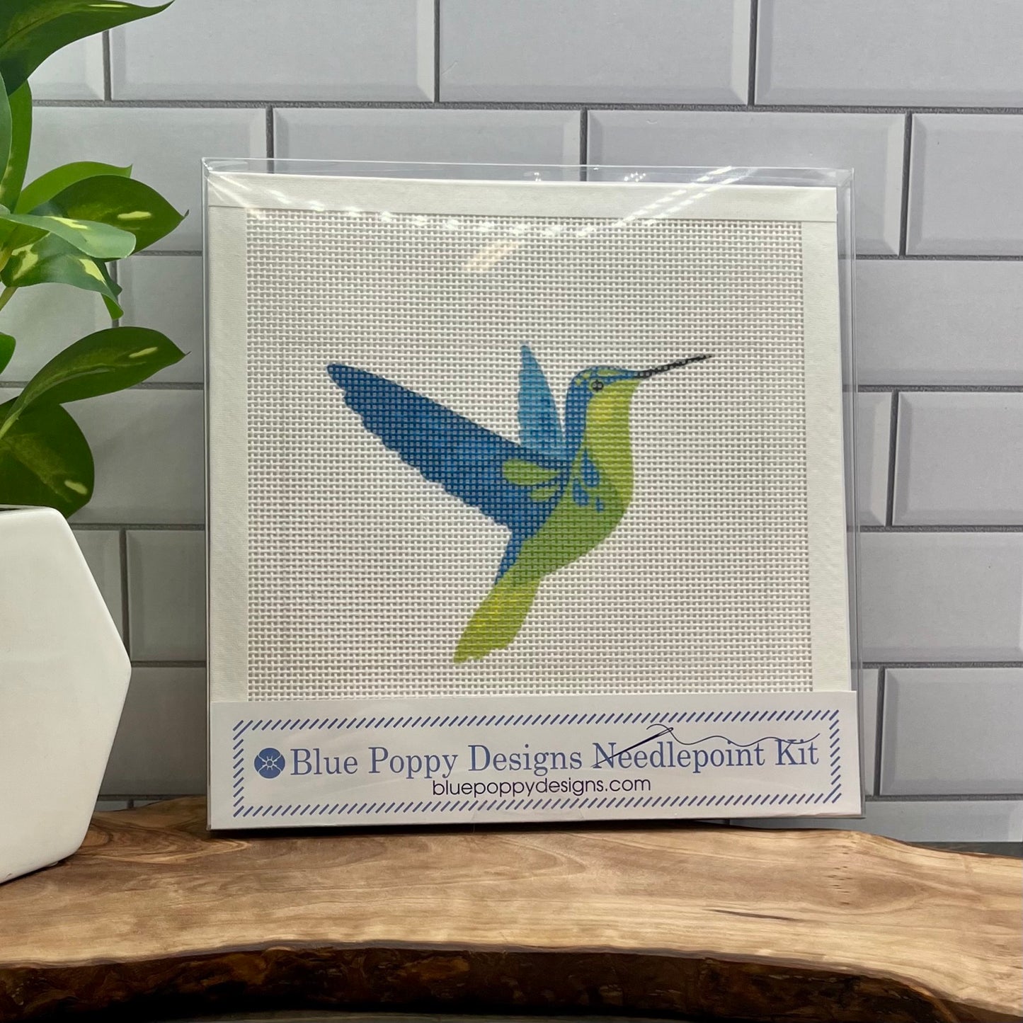 Green Bellied Hummingbird Needlepoint Design