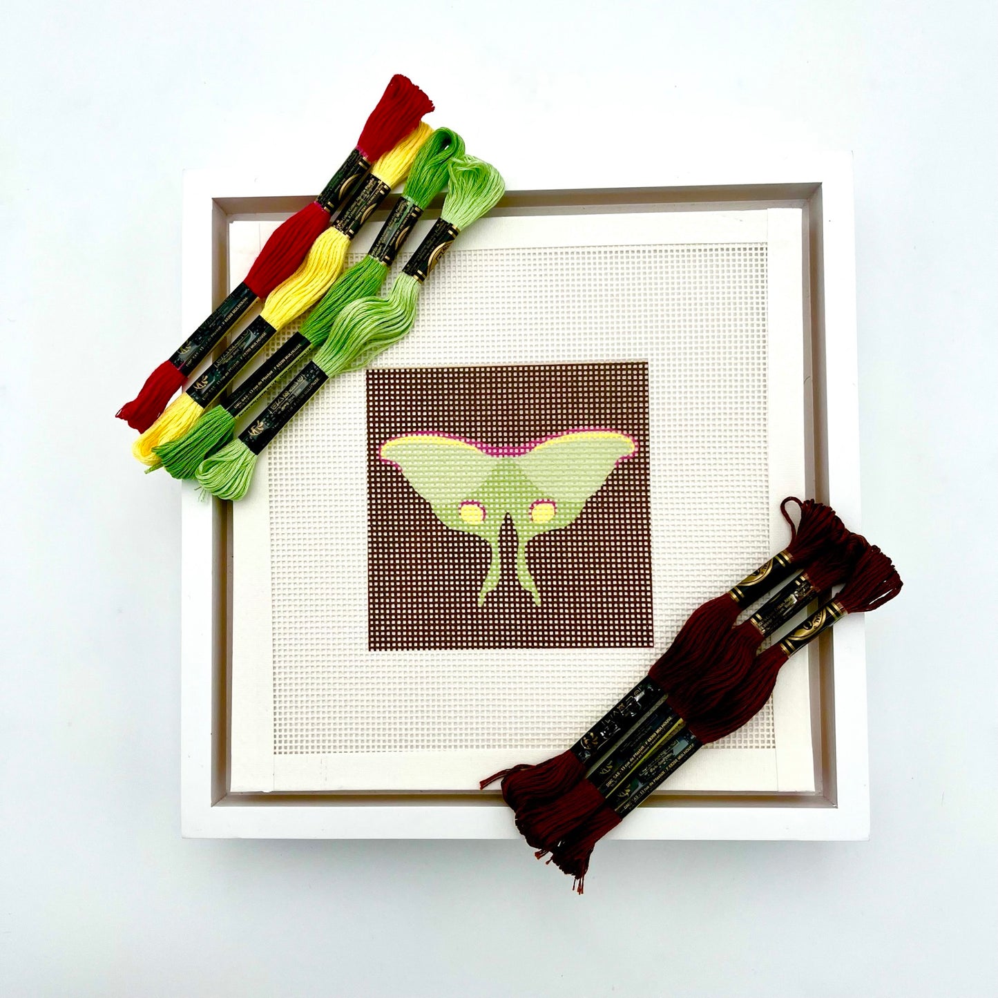 Luna Moth Brown Needlepoint Design