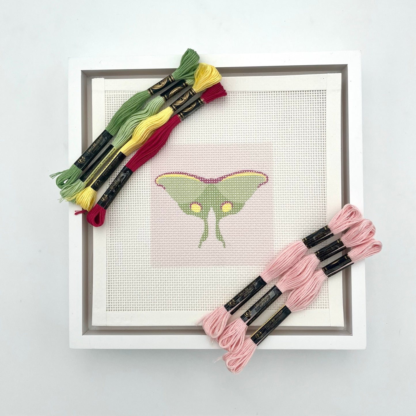 Luna Moth Pink Needlepoint Design