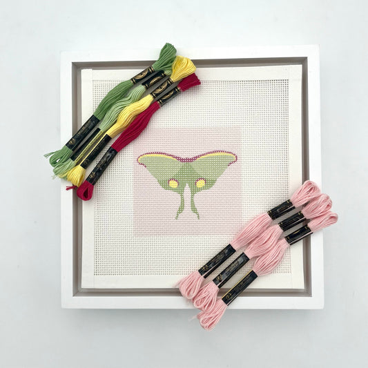 Luna Moth Pink Needlepoint Design
