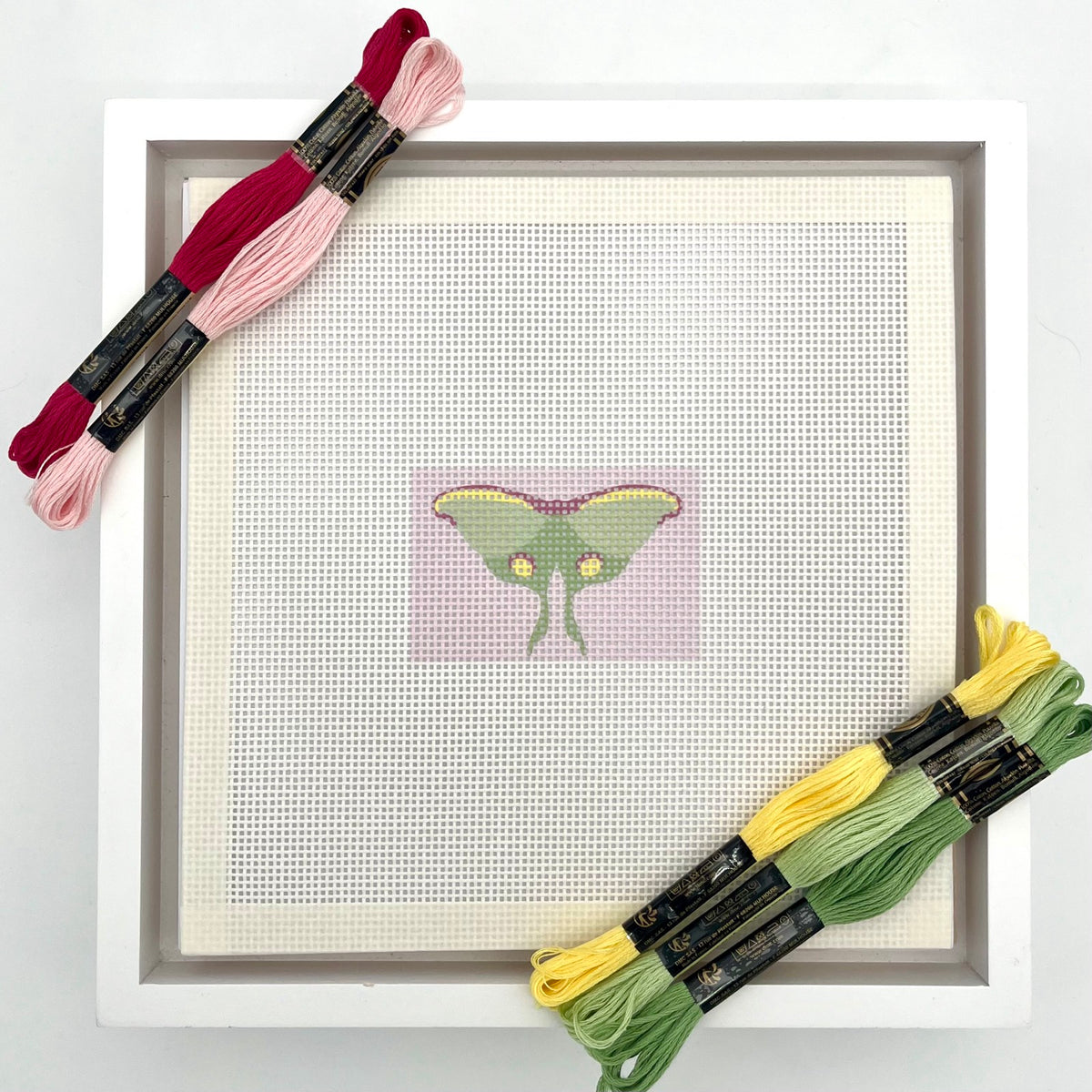 Luna Moth Pink Background 3x2 Needlepoint Design