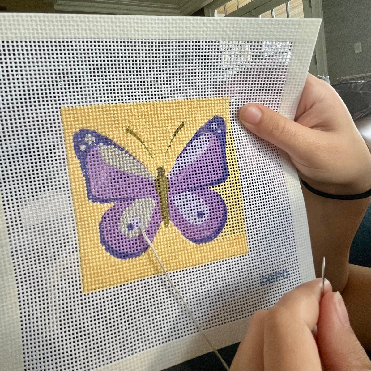 Purple Butterfly
