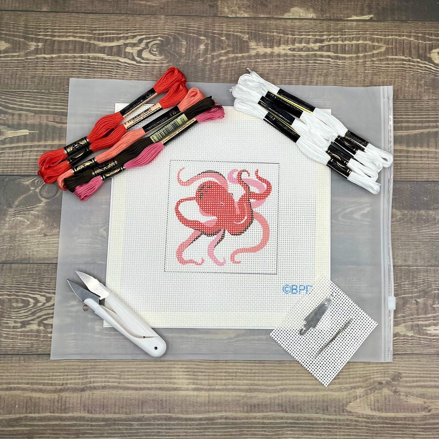 Octopus Needlepoint Kit