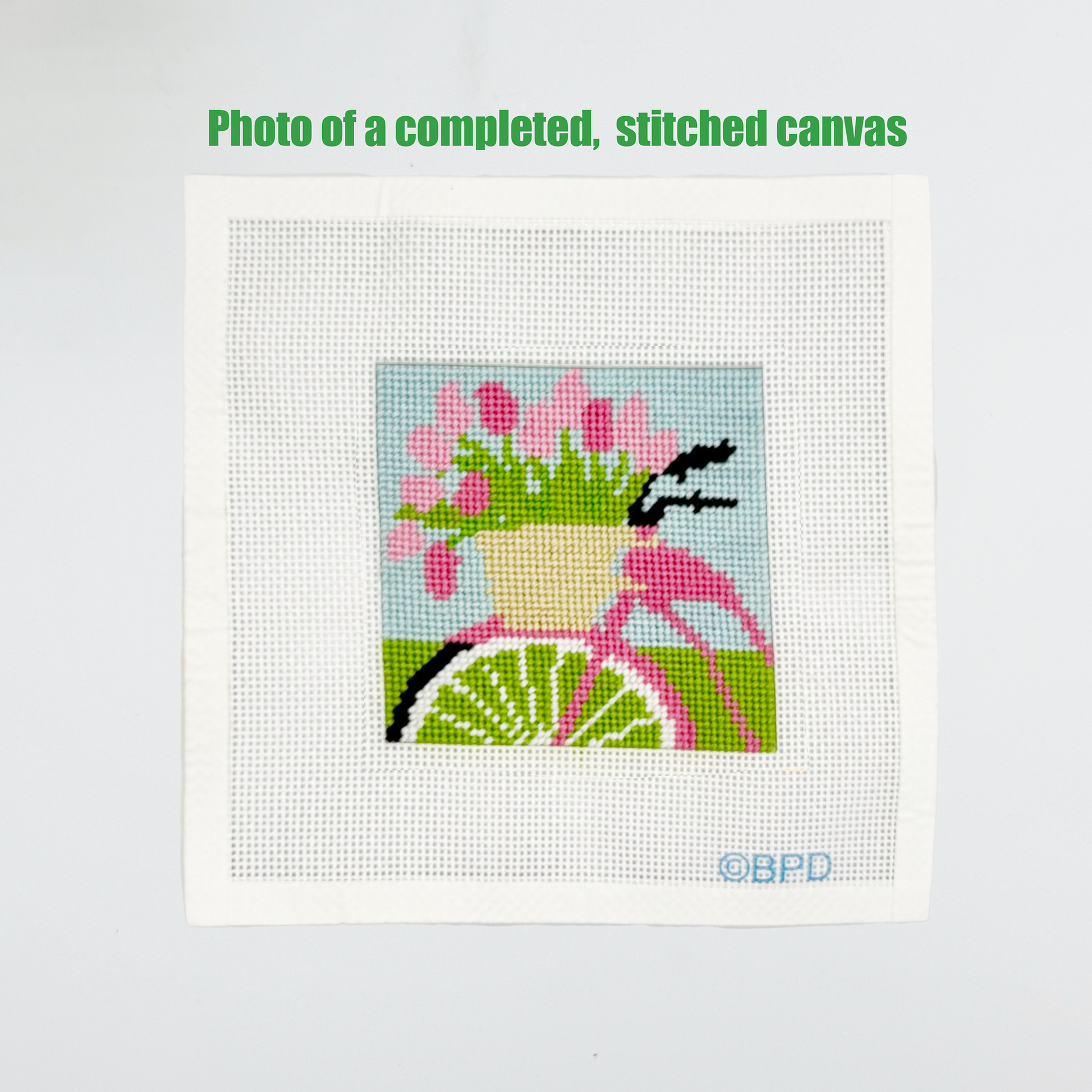 Bicycle with Pink Flowers Needlepoint Kit Embroidery/Cross Stitch Supplies Blue Poppy Designs