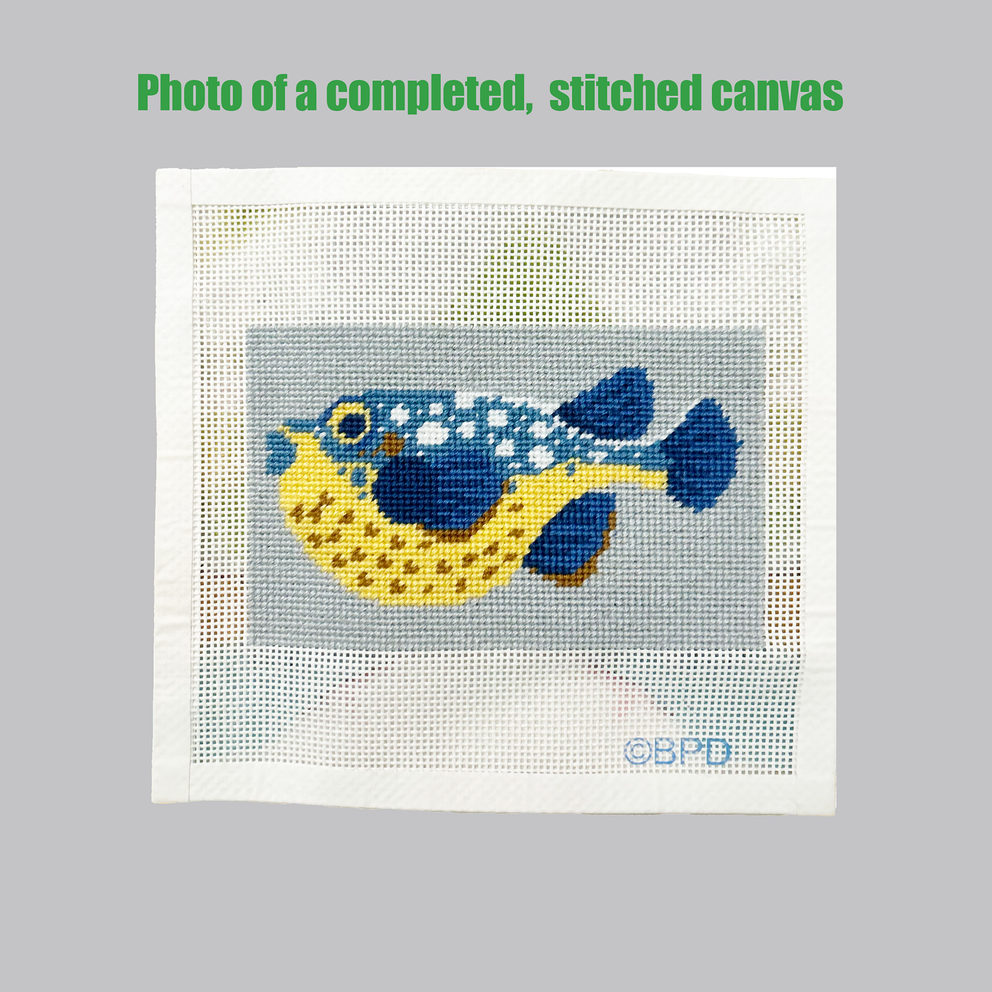 Pufferfish Needlepoint Kit Embroidery/Cross Stitch Supplies Blue Poppy Designs
