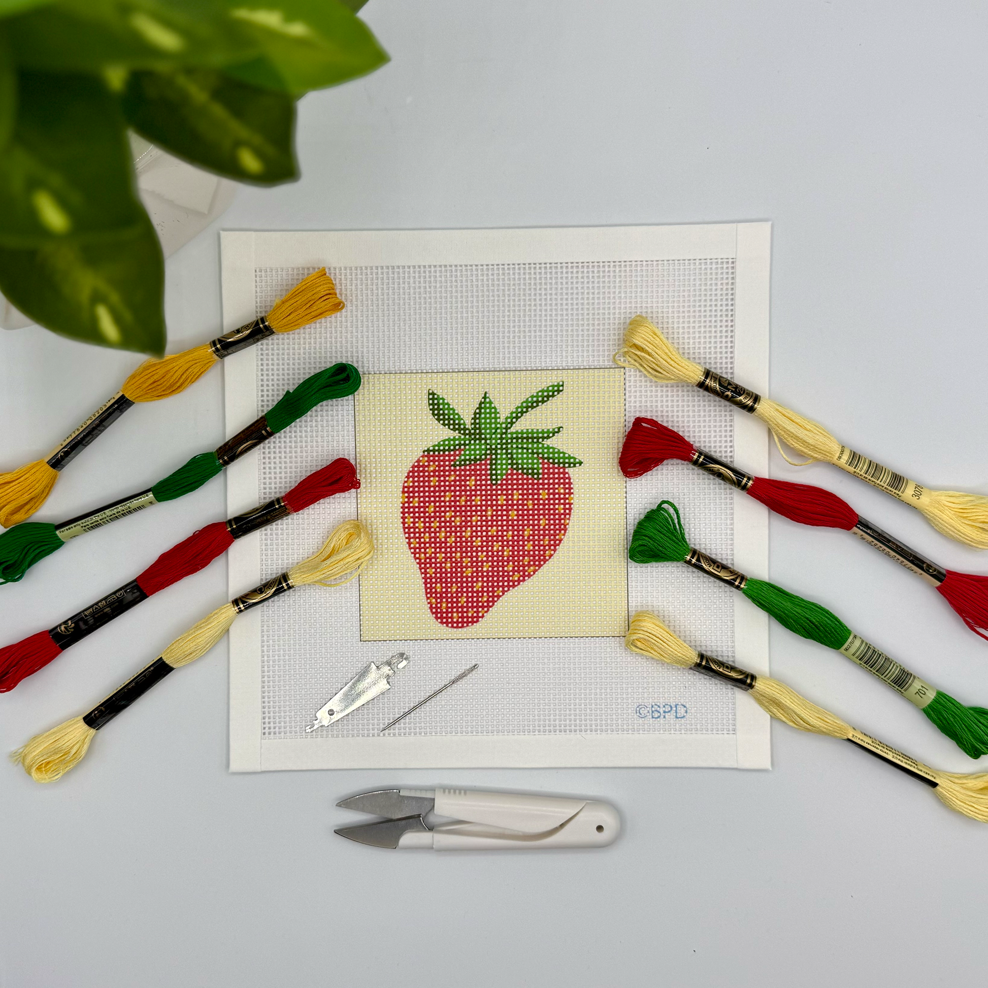 Strawberry Needlepoint Kit (on beige) Embroidery/Cross Stitch Supplies Blue Poppy Designs