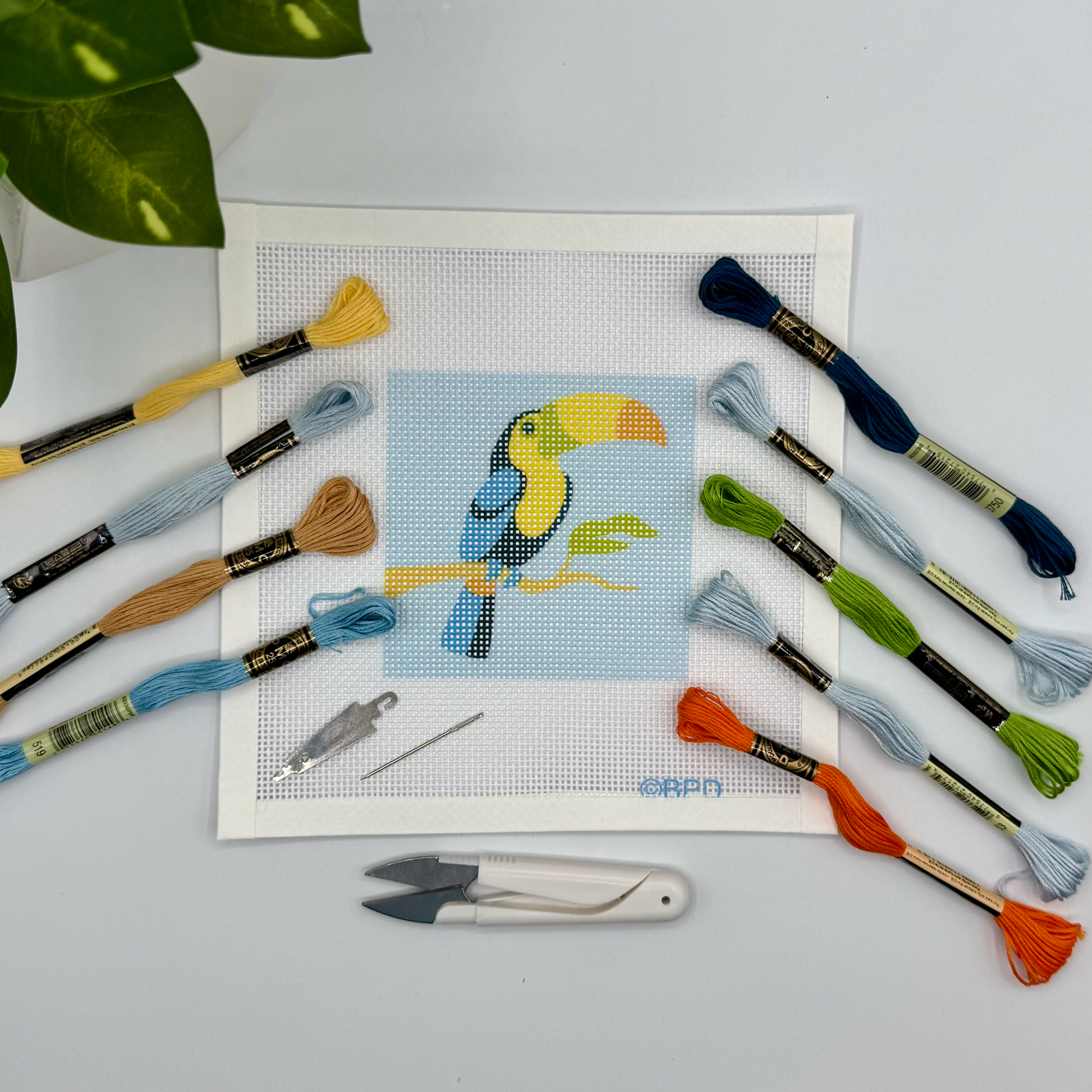 Toucan Needlepoint Kit Embroidery/Cross Stitch Supplies Blue Poppy Designs