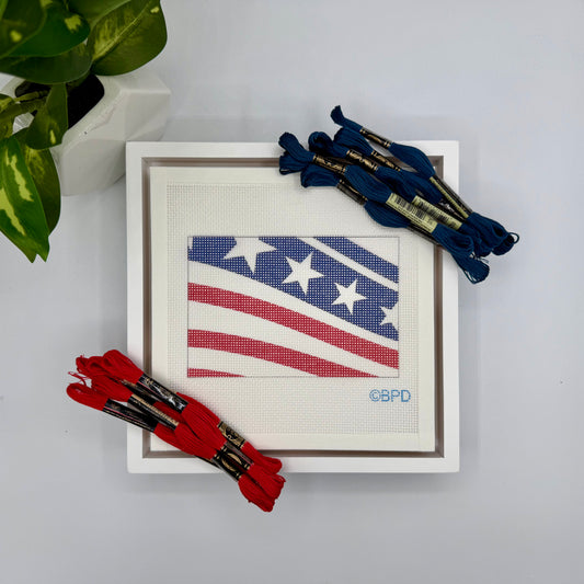 USA Curvy Flag Needlepoint Kit