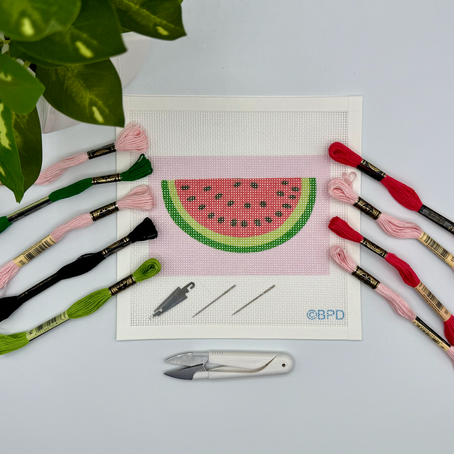 Watermelon Needlepoint Kit Embroidery/Cross Stitch Supplies Blue Poppy Designs