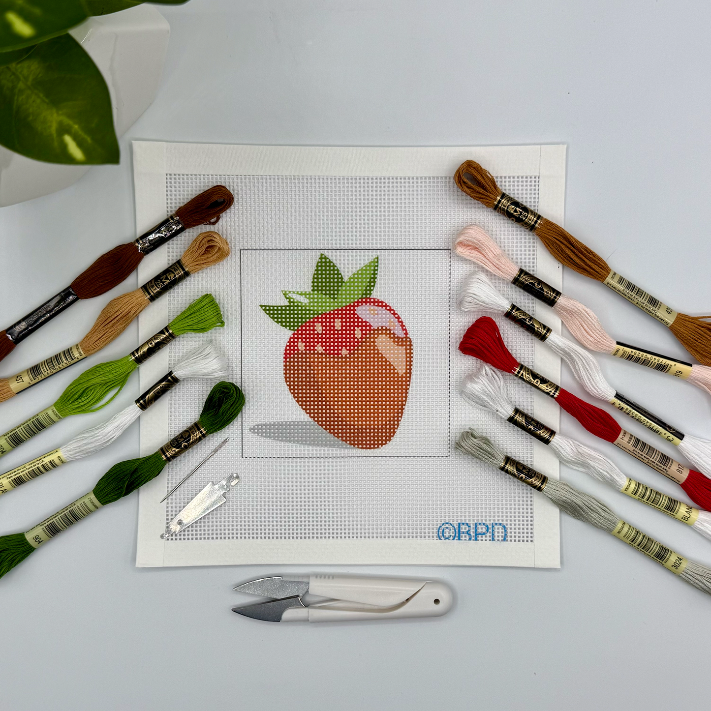 Chocolate covered Strawberry Needlepoint Kit Embroidery/Cross Stitch Supplies Blue Poppy Designs