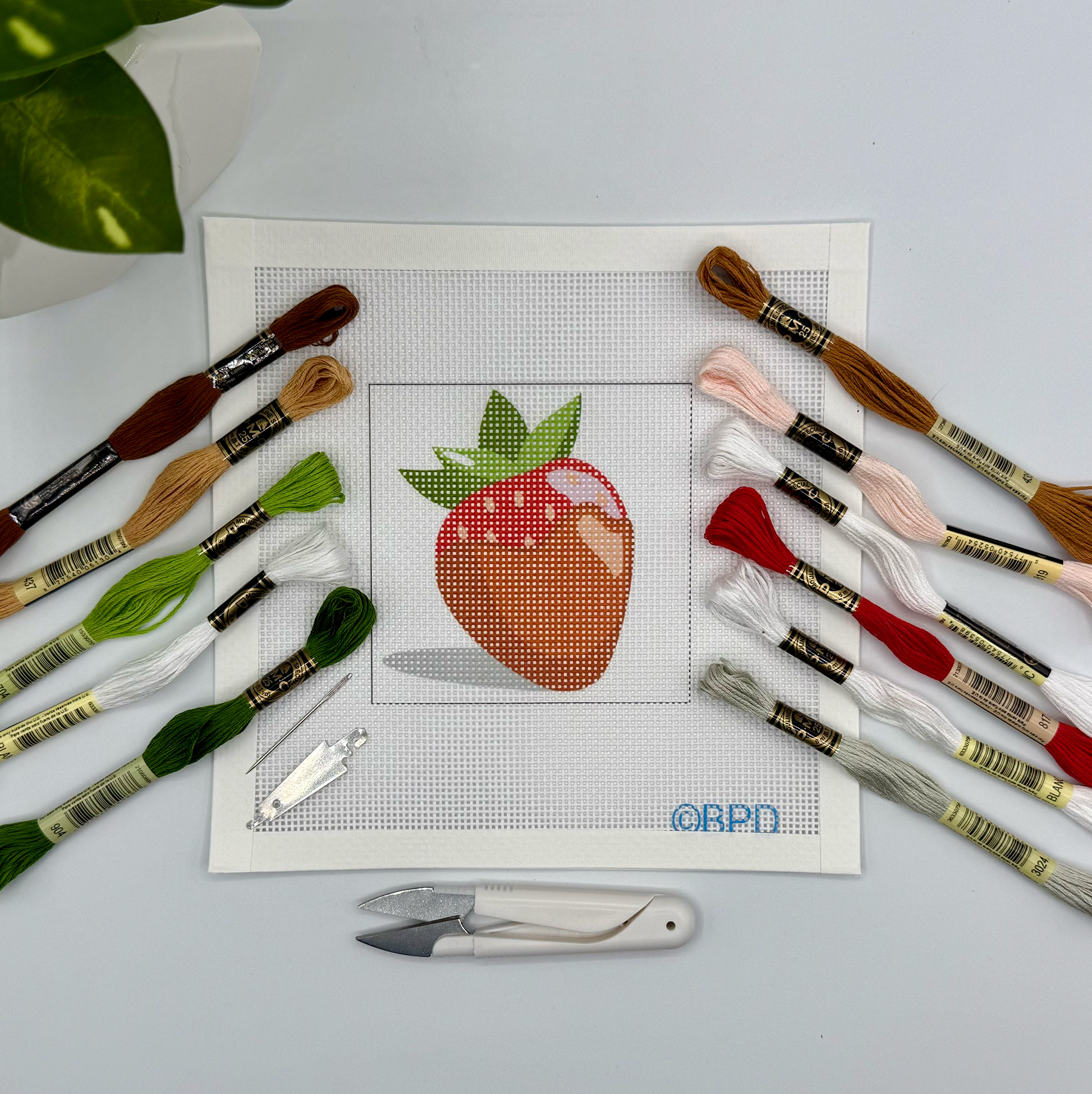 Chocolate covered Strawberry Needlepoint Kit Embroidery/Cross Stitch Supplies Blue Poppy Designs