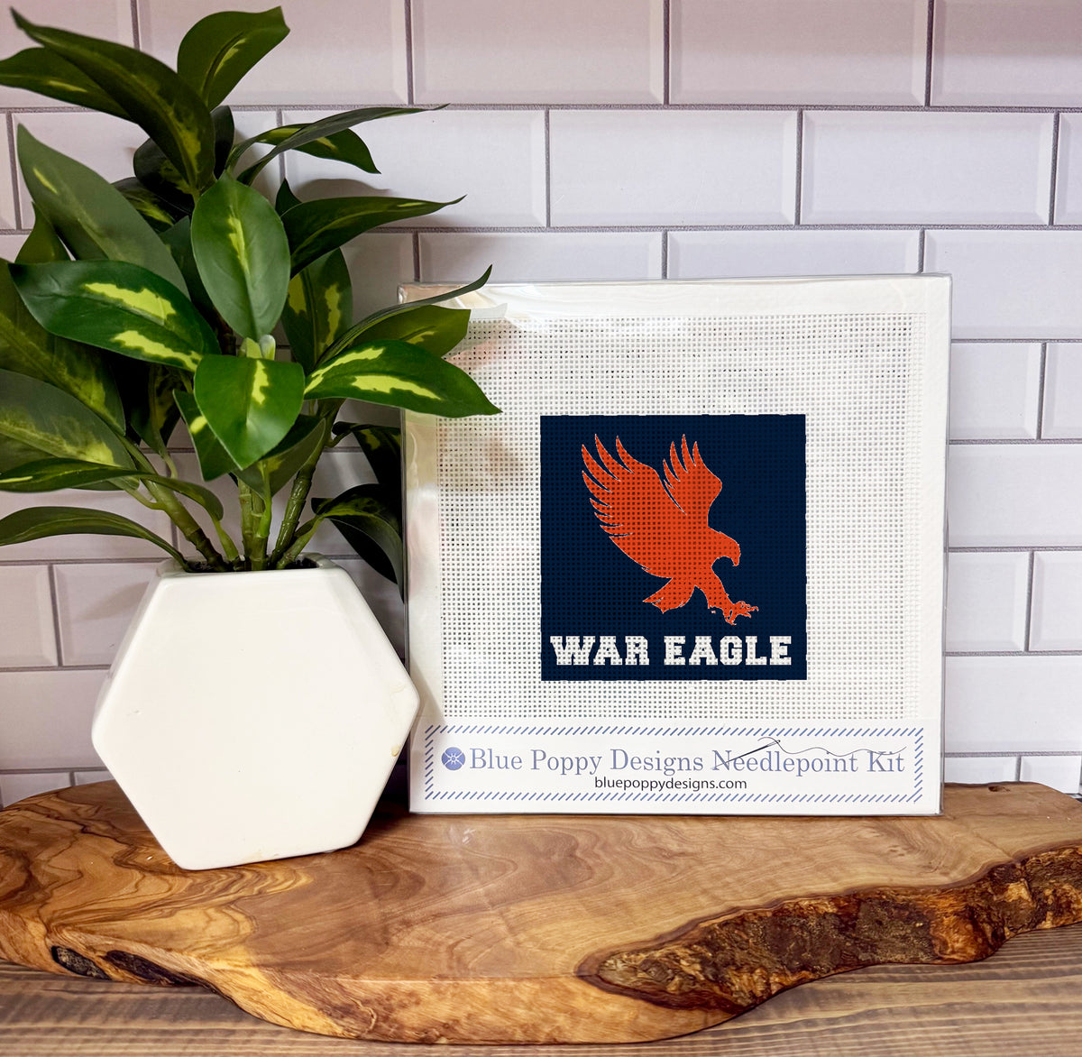 AU War Eagle 4x4 Needlepoint Design Needlepoint Kit Blue Poppy Designs