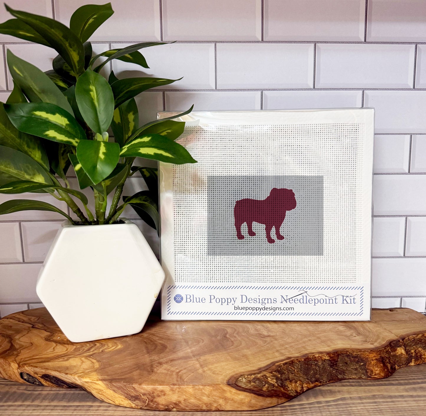 Mississippi State Bulldog 4x6 Needlepoint Design