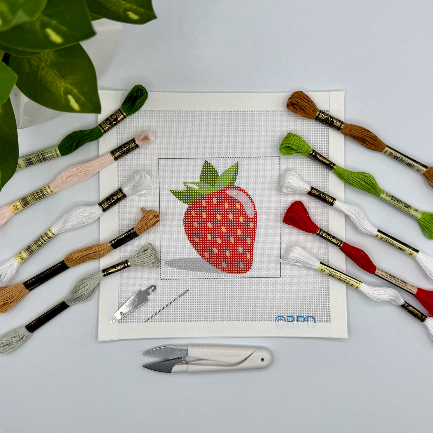Strawberry Needlepoint Kit (strawberry with shadow) Embroidery/Cross Stitch Supplies Blue Poppy Designs